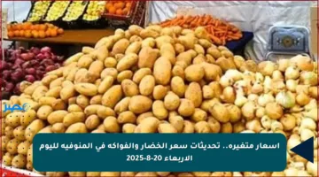 أسعار متغيرة.. تحديثات سعر الخضار والفواكه في المنوفية لليوم الأربعاء 20-8-2025